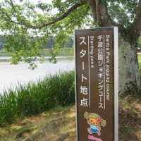日曜日の千波湖ラン