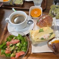 人と自然の博物館