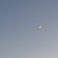 月涼し
