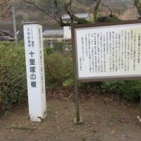 薩摩街道　市来から木場茶屋を歩く