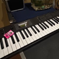 korg X5