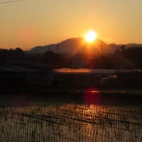 二上山の日の出～北大伴　千早川２　２０２５．６