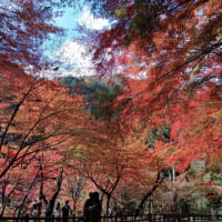 2024.奥津渓の秋
