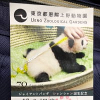 上野動物園 2
