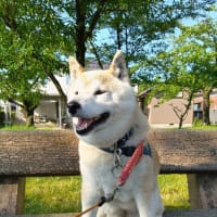 おはようございます。