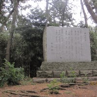 新潟市: 護国神社境内：芭蕉楽園 　不快感が募る落圓！？
