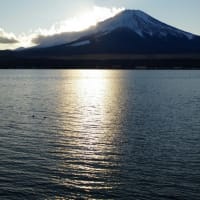 新春の富士山