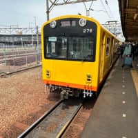 特殊狭軌鉄道