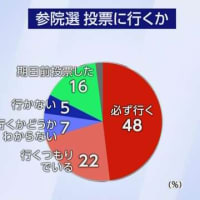 期日前投票済ませてきました　　　2025.07.19