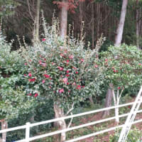 今日いち-2025年3月7日