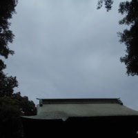 ゲリラ豪雨のち晴れのちゲリラ豪雨～ (-＿-)ｳｰﾑ　そして蒸し暑さ半端ない！