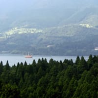 静岡県 in ドクターイエロー　１