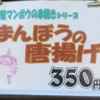 和歌山1周、リベンジ編～2日目