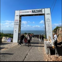 連日の投稿