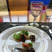 ラ・ビスタ草津ヒルズに泊まる