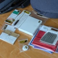 出会いは突然に