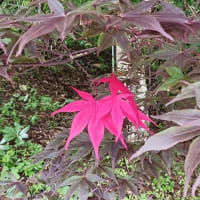 心配しても始まらないが…