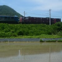 山陽本線EF210形　ほのかに水面に映る風景　2025-06-19