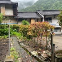 庄原市西城での造園工事