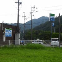 2025年06月27日　コウノトリ目撃情報