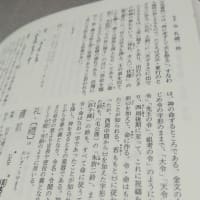 マザーテレサとこども 今 デスクトップ お な か ぽんぽこりんのチロちゃん
