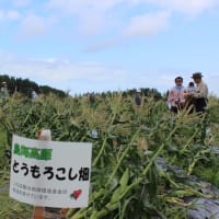 Ｈ２９年の収穫祭が行われました