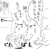 コタには視える?!