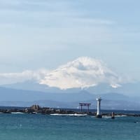 湘南の海から見る富士山