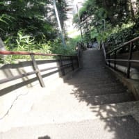 和光市白子の百段階段！ふらりとやって来ました。実際は77階段でした。