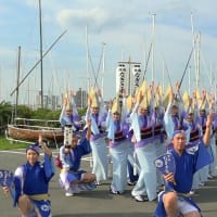 湘南なぎさ連  2017江の島ハーバーフェスティバル 江の島ヨットハーバー組踊り 