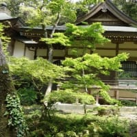 竹林寺新緑の五月令和の風 