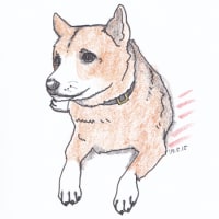 お休みですが