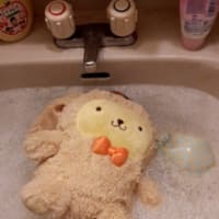 いつもいいね！をくださってる方々ありがとうございます