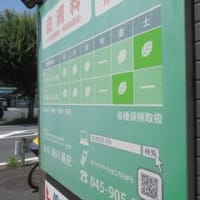 6/21　あおば皮ふ科