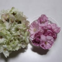 ４月も終わりです