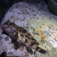 風がちょっと強め　Apr.26-27