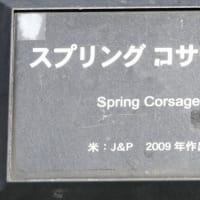 スプリング コサージュ　〈Spring Corsage　バラ〉　