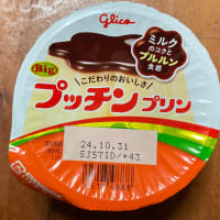 気ままブログ『“プッチンプリン”を久しぶりに食べる』