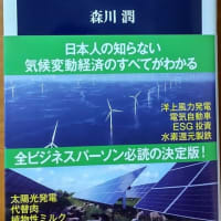 『脱炭素ビジネス』『ネクステラ』『世界の気候変動対策』