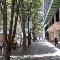 丸の内仲通りの午後