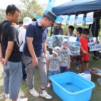 第４回鏡川こども祭 　その６　　鏡川水族館の登場と、写真展示