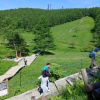 スズランの花咲く入笠山へ