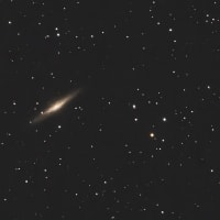 NGC4565 NGC2903 NGC2683撮影