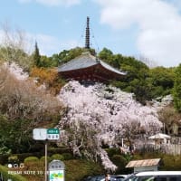 ２日目