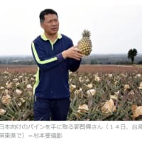 今日以降使えるダジャレ『3044』【経済】■輸出先を失った台湾産パイナップル、「応援購入」した日本で定着…シェア１％から９％に