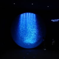 鶴岡の加茂水族館に行きました