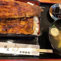 極上うなぎ