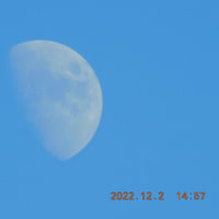 今日は青空に白い月をみました