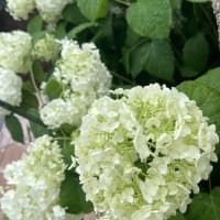 体調管理はまずまず