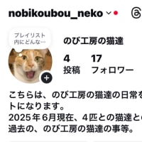 のび工房の猫達